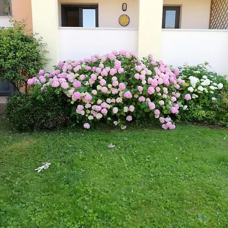 Marina Fiorita * Grado